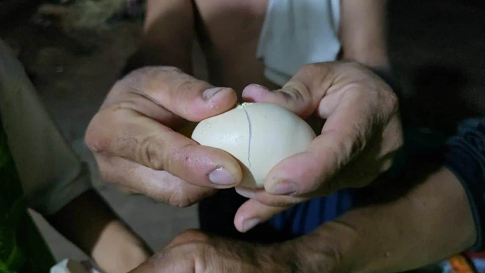 Nhiều người xôn xao vì nghi ngờ mua phải trứng gà giả, khi luộc lên có màu sắc và mùi lạ Ảnh 1