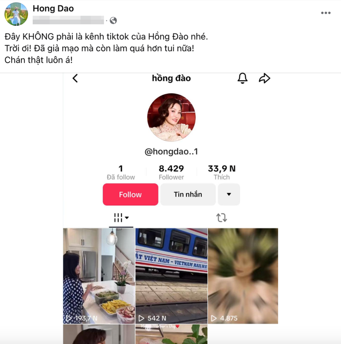 Showbiz 24h: Hồng Đào rơi vào tình cảnh đáng lo khi bị mạo danh tài khoản TikTok, phải đăng đàn cảnh báo khán giả. Ảnh: Sưu tầm