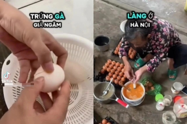Thông tin về trứng gà giả xuất hiện trên mạng xã hội gây hoang mang. 