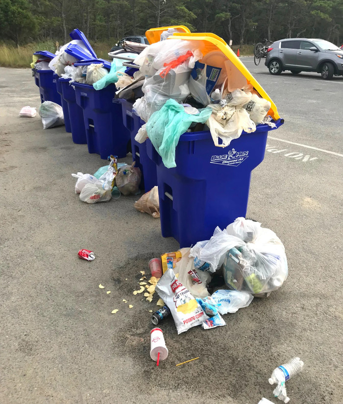 Cô gái 22 tuổi kiếm được 1,3 tỷ đồng nhờ nhặt rác Ảnh 2