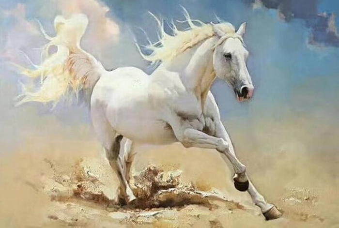 Tử vi hôm nay cho thấy người tuổi Ngọ sẽ gặp nhiều may mắn trong công việc, tài chính.