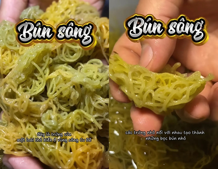 Món bún sông được cho là đặc sản của Đà Nẵng. (Ảnh chụp màn hình từ TikTok @tuilanguoidanang)