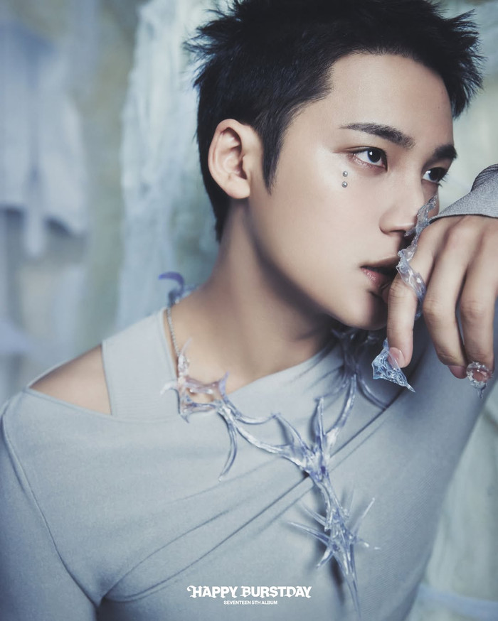 Ca khúc của Mingyu (SEVENTEEN) bị cấm sóng Ảnh 2