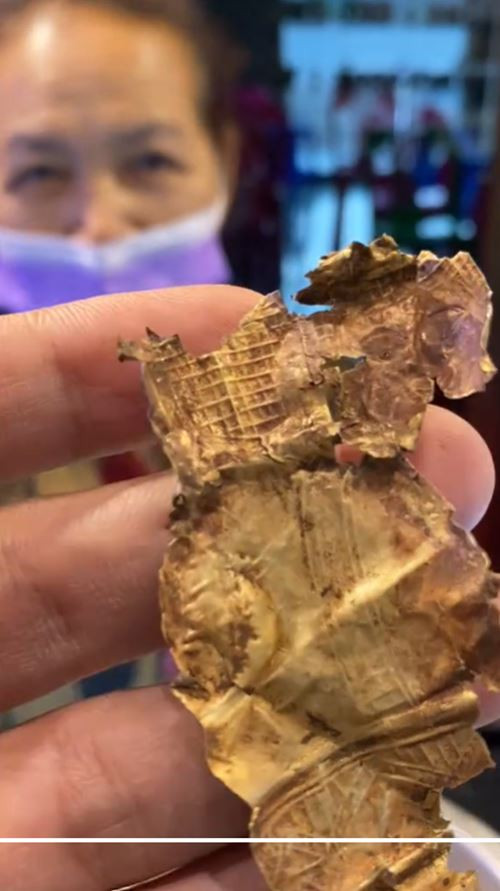 Đi nhổ cỏ trồng sắn, người phụ nữ bỗng kiếm được 80 triệu đồng Ảnh 3