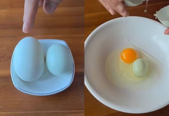 Lấy trứng gà nấu ăn, người đàn ông không tin vào mắt sau khi đập quả trứng Ảnh 1