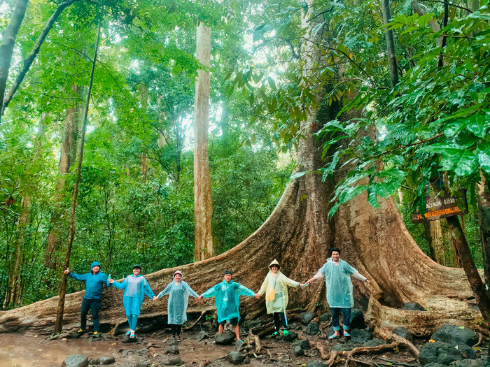 Vườn Quốc gia Nam Cát Tiên là điểm đến lý tưởng của du khách ở khu vực phía Nam. (Ảnh: Đất Việt Tour)