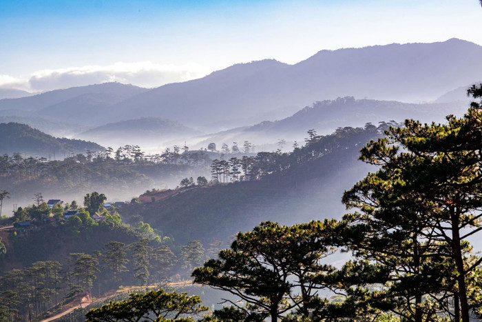 Săn mây vào buổi sáng với không khí trong lành, mát rượi trên đỉnh Bidoup. (Ảnh: Crystal Bay)