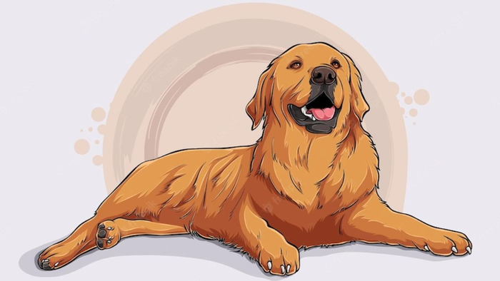 Tử vi hôm nay 24/5: 3 con giáp lên 'như diều gặp gió' Ảnh 1