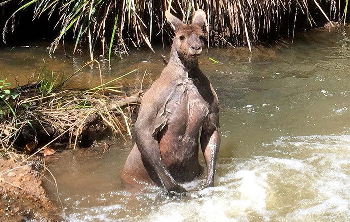 Ảnh: Caters News Agency.