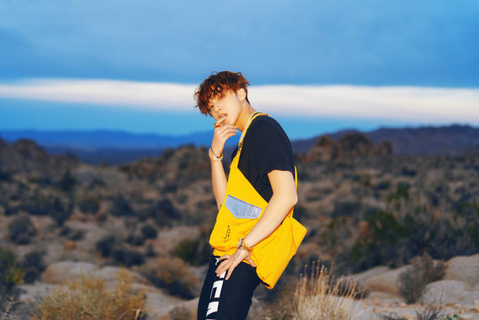 Tin vui của Sơn Tùng Ảnh 3