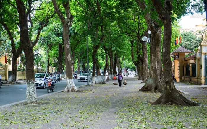 Người dân cần chú ý theo dõi dự báo thời tiết thường xuyên khi có ý định ra ngoài đường. Ảnh: Sưu tầm