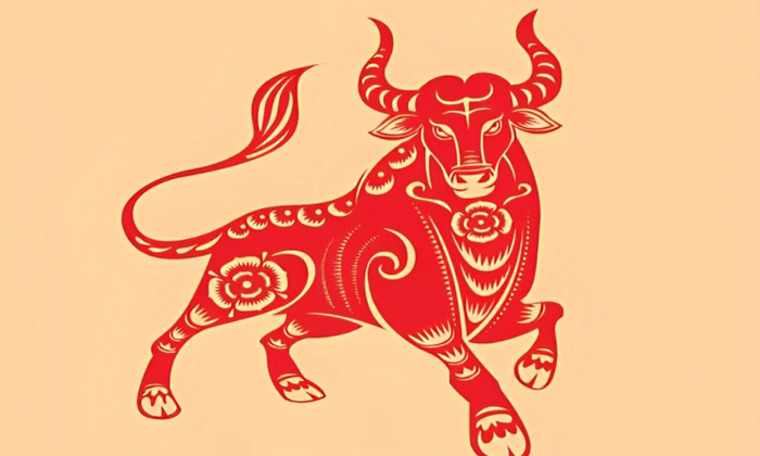 Tử vi hôm nay 27/5: 3 con giáp gặp vận may, được quý nhân giúp đỡ Ảnh 2