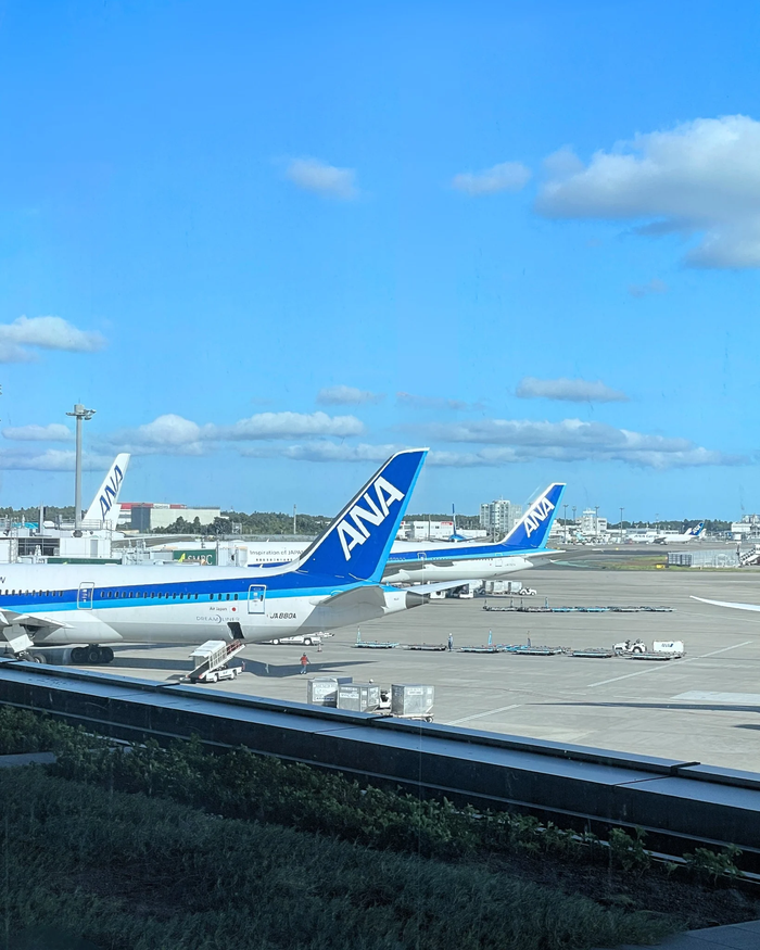 Hành khách cố mở cửa giữa không trung, chuyến bay chuyển hướng khẩn cấp Ảnh 1