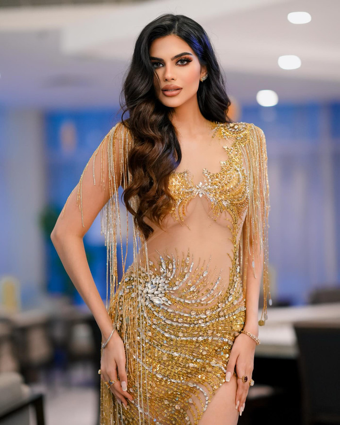 Rachel Gupta không được đi công du nhiều quốc gia như các Miss Grand International tiền nhiệm. (Ảnh: Instagram nhân vật)