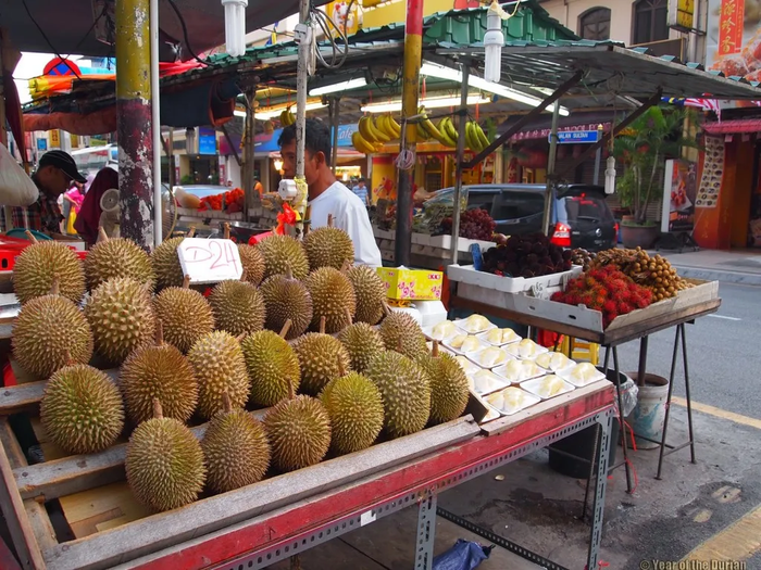 Mang sầu riêng vào phòng khách sạn, nữ du khách 'trả giá' đắt Ảnh 1