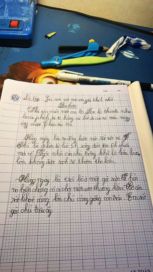 Bài văn tả con bò vừa ngây ngô vừa giàu trí tưởng tượng khiến dân mạng thích thú.