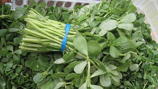 Tại một số thị trường như Trung Quốc, châu Âu, Mỹ..., rau sam được bán với giá cao. Đây là nguyên liệu dùng trong ẩm thực và y học. (Ảnh minh họa từ Internet)