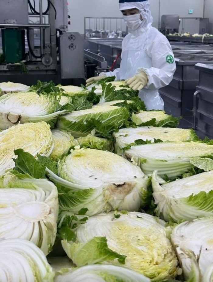 Nữ diễn viên Park Sol Mi trong một lần kiểm tra cải thảo - nguyên liệu làm kim chi ở nhà máy. Ảnh: Sưu tầm