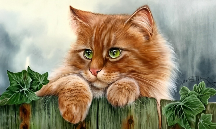 Theo tử vi hôm nay 6/5, người tuổi Mão sẽ gặp được nhiều may mắn.