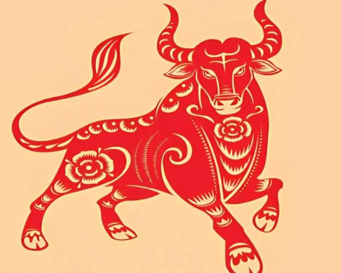 Theo tử vi hôm nay 6/5, người tuổi Sửu sẽ có cơ hội gặp gỡ những đối tác quan trọng.