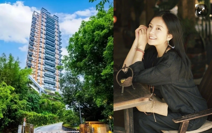 Showbiz 24h: Triệu Vy chấp nhận bán lỗ căn chung cư từng mua cùng chồng cũ. Ảnh: Sohu