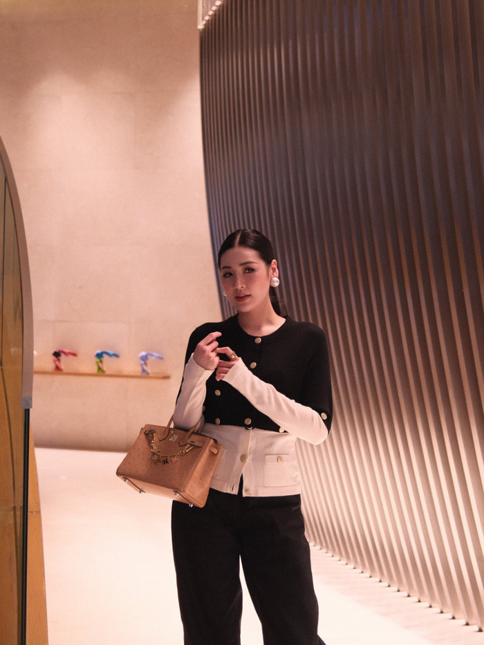 Công thức thể hiện địa vị của 'dâu hào môn' Đỗ Mỹ Linh, Đặng Thu Thảo Ảnh 3