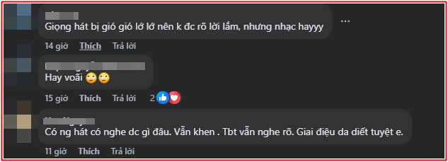 Thiều Bảo Trâm gây tranh luận Ảnh 3