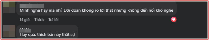 Thiều Bảo Trâm gây tranh luận Ảnh 2