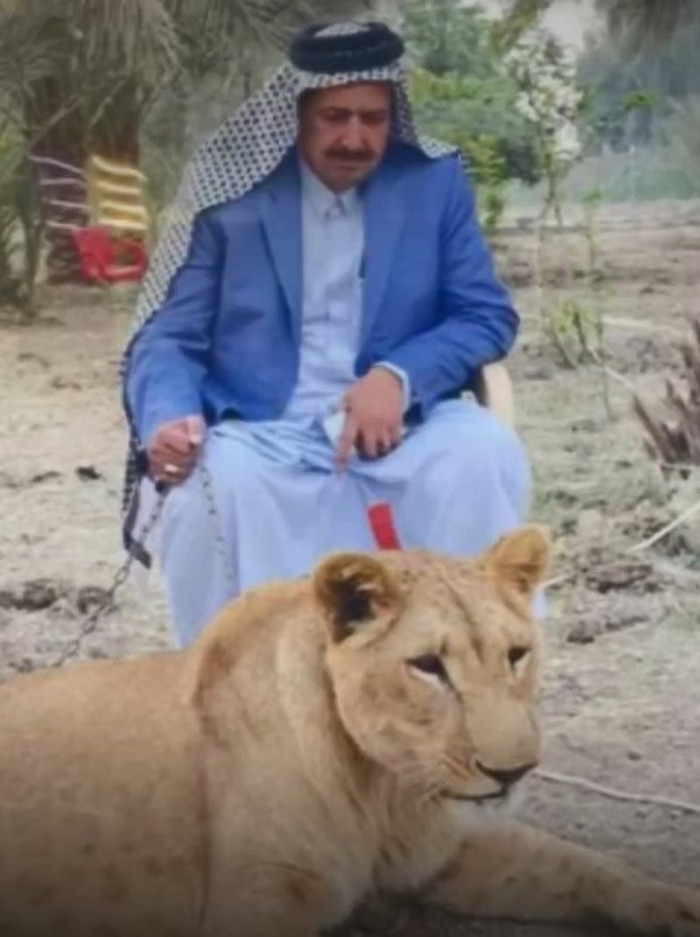 Ảnh chụp màn hình từ YouTube.