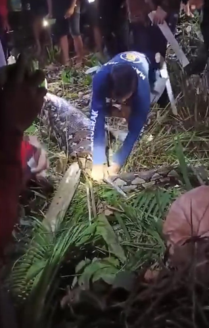 Dân làng vây bắt con trăn khổng lồ dài 6 mét, rụng rời khi mổ bụng kiểm tra Ảnh 1