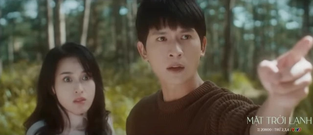 Mai Ly đã theo lời Tuấn Trần, thuê người đầu độc rừng thông