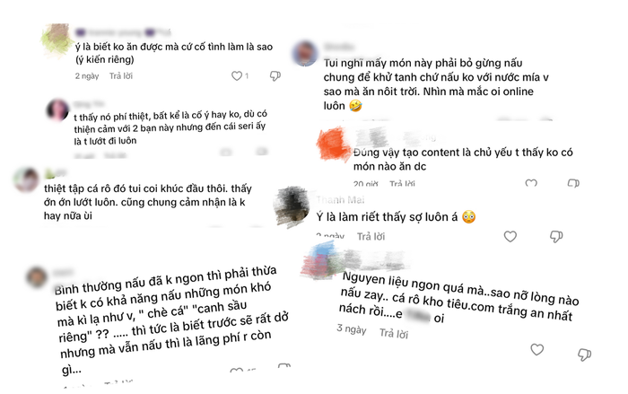 Một số bình luận chỉ trích