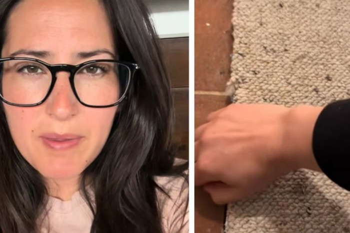 Dọn dẹp căn nhà, cặp vợ chồng phát hiện lối đi bí mật dẫn đến nơi kỳ lạ Ảnh 1