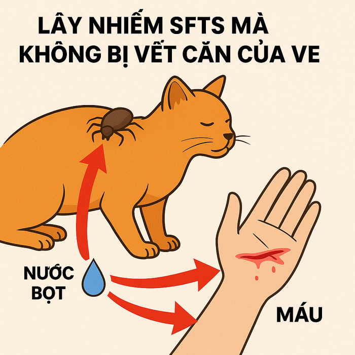 Bác sĩ thú y tử vong sau khi chữa bệnh cho mèo Ảnh 2