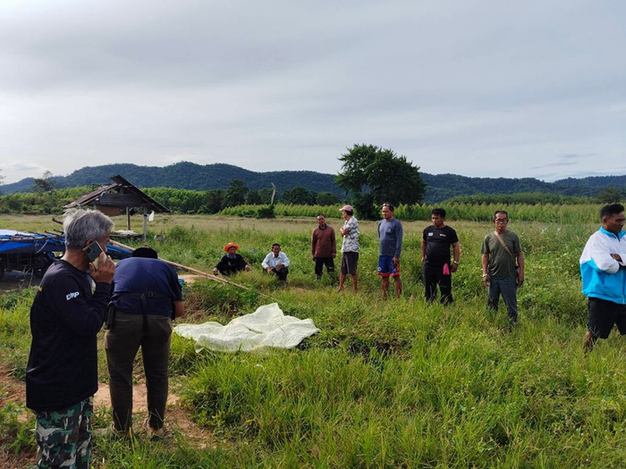 Ảnh: กรมอุทยานแห่งชาติ สัตว์ป่า และพันธุ์พืช