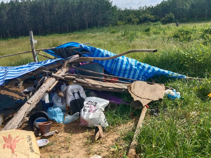 Ảnh: กรมอุทยานแห่งชาติ สัตว์ป่า และพันธุ์พืช