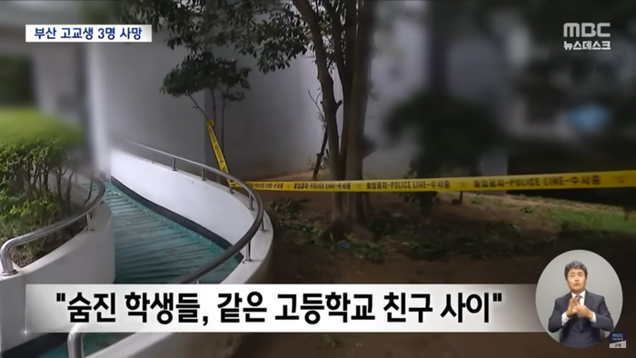 Ảnh chụp màn hình từ phóng sự của đài MBC.