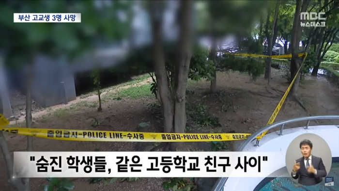 Ảnh chụp màn hình từ phóng sự của đài MBC.