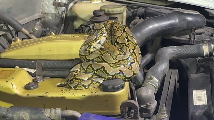 Ảnh: Khaosod Online.