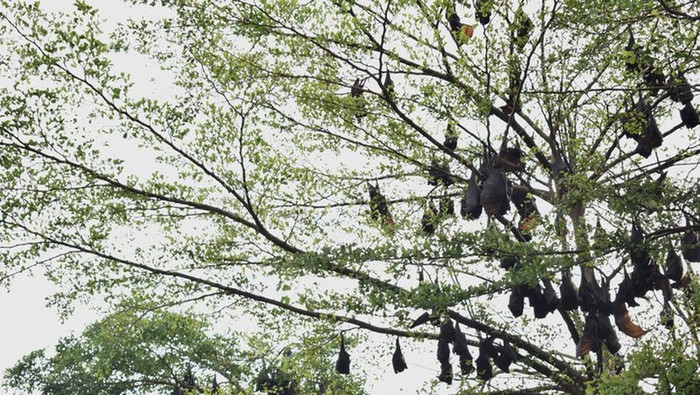 Ảnh: Getty Images/iStockphoto.