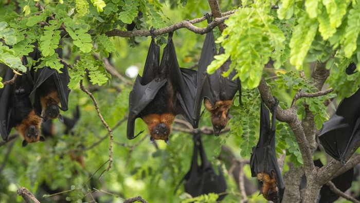 Ảnh: Getty Images/iStockphoto.