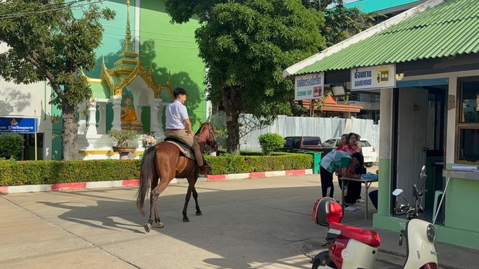 Cậu học sinh gây xôn xao khi cưỡi ngựa đến trường Ảnh 2