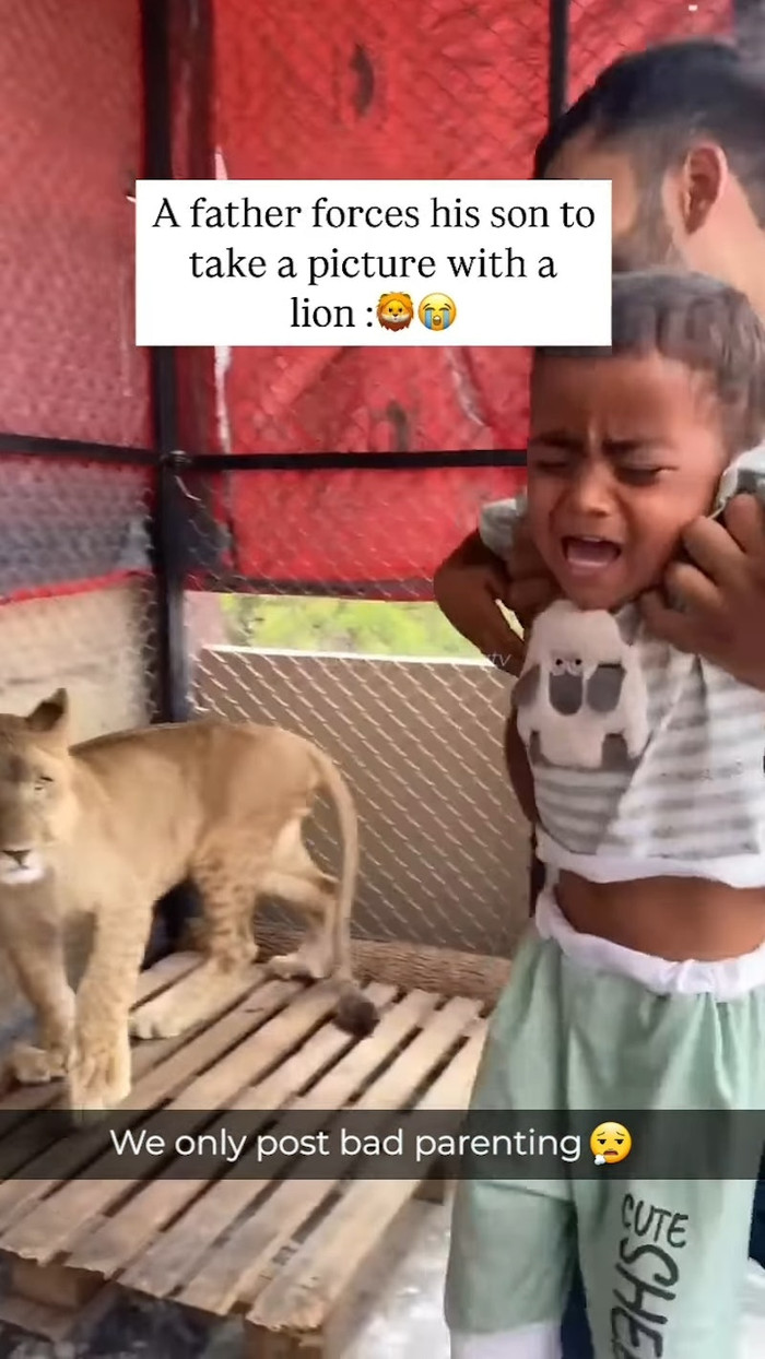 Ảnh chụp màn hình.