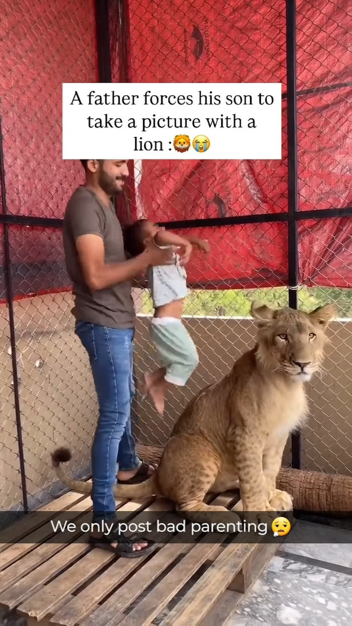 Ảnh chụp màn hình.