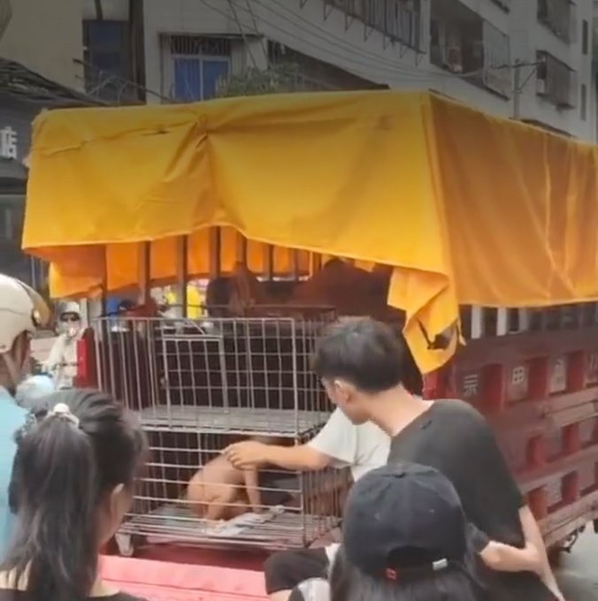 Bé trai không mặc quần áo bị cha nhốt trong lồng sắt, lời giải thích gây tranh cãi Ảnh 2