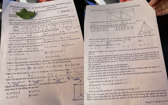 Phần trắc nghiệm và Đúng Sai đề Toán thi tốt nghiệp THPT 2025. (Ảnh: Theanh28 Entertainment)