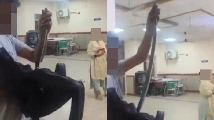 Nam thanh niên tay không cầm con rắn xông vào bệnh viện, bác sĩ và y tá hoảng hốt Ảnh 1