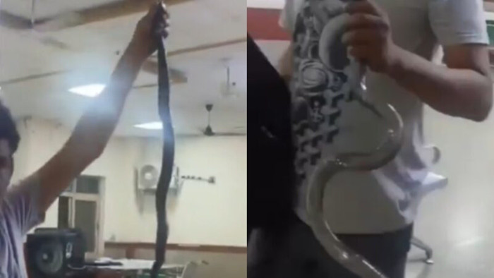 Nam thanh niên tay không cầm con rắn xông vào bệnh viện, bác sĩ và y tá hoảng hốt Ảnh 2