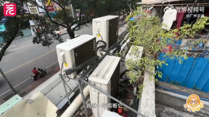Trở về nhà sau một năm đi làm xa, người phụ nữ 'khóc không ra tiếng' vì cảnh tượng trên sân thượng Ảnh 3