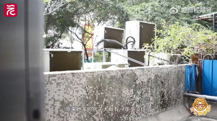 Trở về nhà sau một năm đi làm xa, người phụ nữ 'khóc không ra tiếng' vì cảnh tượng trên sân thượng Ảnh 2